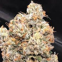 Dank Bananas Female Cannabis Seeds by Dank Genetics