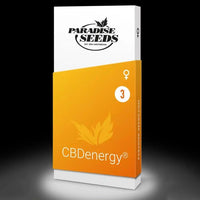 CBDenergy Female High CBD Weed Seeds by Paradise Seeds