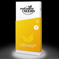 CBDrelief Female High CBD Weed Seeds by Paradise Seeds