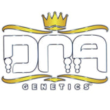 Stacked OG Kush Female Cannabis Seeds by DNA Genetics