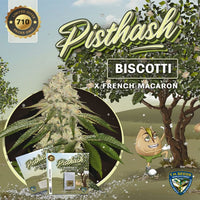 Pisthash Female Cannabis seeds by T.H.Seeds