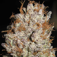 Super Silver Mandarin Female Weed Seeds by Ultra Genetics