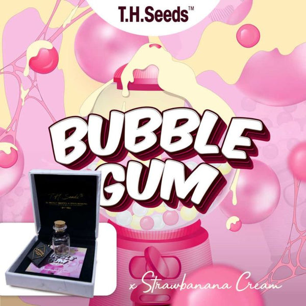 OG Bubblegum X SBC Regular Cannabis Seeds by T.H.Seeds