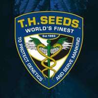 Sour Cake Regular Cannabis Seeds by T.H.Seeds