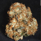 White Berry Female Cannabis Seeds by Paradise Seeds